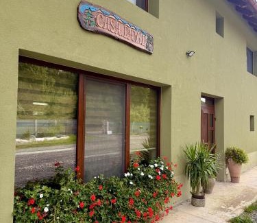 Curatele House | Casa David 13D