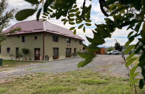 Curatele House | Casa David 13D