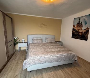 Sighisoara House | Casa de pe deal Sighisoara