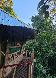 Leticia Apartment | Casa del árbol - Kiosko el Tacana