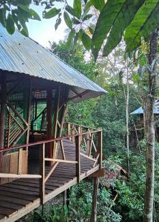 Leticia Apartment | Casa del árbol - Kiosko el Tacana