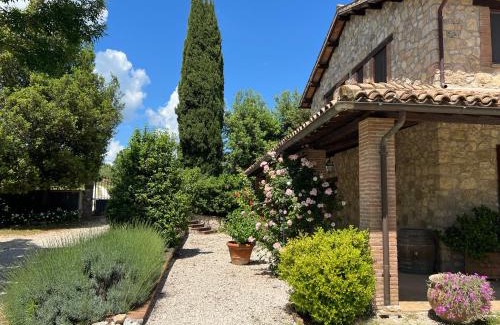 Montecchio House | Casa di Dario