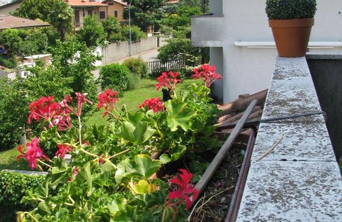 Parabiago House | Casa di Loretta