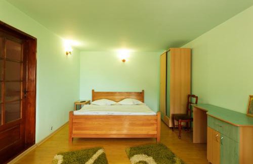 Paltineni House | Casa dintre munti Karina