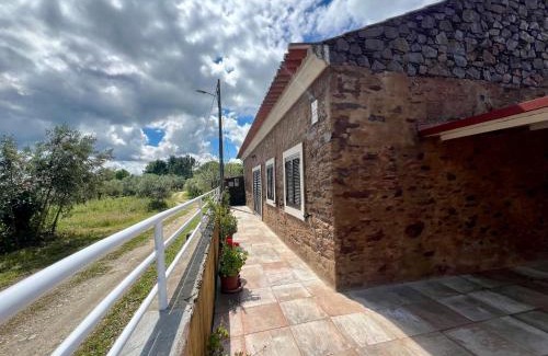 Olalhas House | Casa do Pinhal