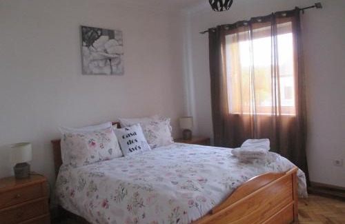 Canas de Senhorim House | Casa dos avós