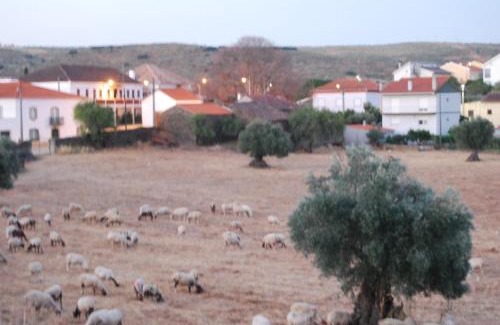 Vila Nova de Foz Coa House | Casa dos Primos