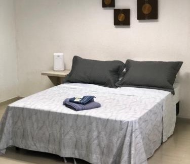 Centro Apartment | Casa edícula no centro com Smart TV