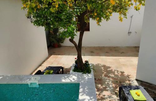 Montecorto House | Casa el Patio del Limón, con piscina