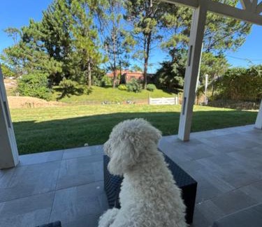Punta del Este House | Casa en alto a 2 Del Mar c piscina