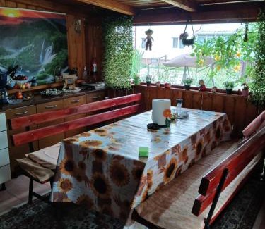 Calimanesti House | Casa Fabrizio