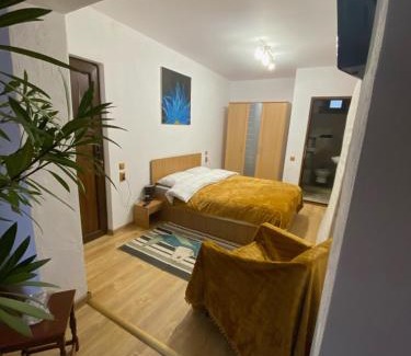 Brasov House | Casa Felice