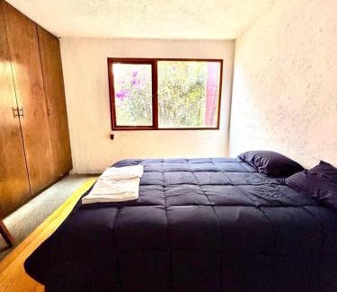 Coyoacan Bed & Breakfast | Casa Frida Coyoacan