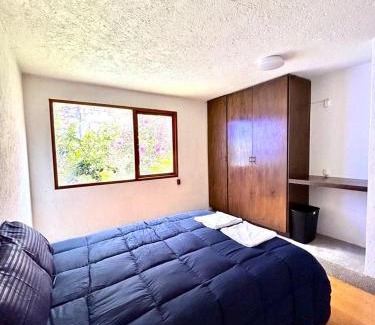 Coyoacan Bed & Breakfast | Casa Frida Coyoacan