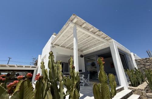 Agios Ioannis Villa | CASA GEKKO - MYKONOS by ROOMERS HOTELS