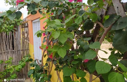 Camocim Bed & Breakfast | Casa Grande