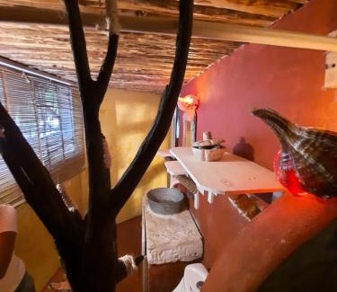 Rio Lagartos Hotel | Casa Jade Ecobungalows Las coloradas