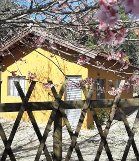 Santo Antonio do Pinhal House | Casa Kiiro, um ambiente tranquilo e de sossego.