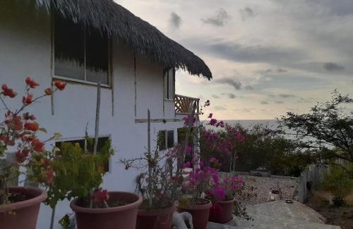 Manta House | Casa Las Mantas