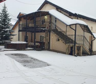 Borsa House | CASA LAURENTIU