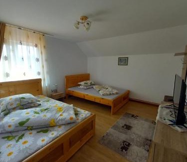 Gorj House | CASA LAVINIA CRASNA GORJ