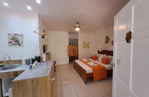 Tamarindo House | Casa Mapache