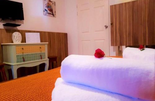 Tamarindo House | Casa Mapache