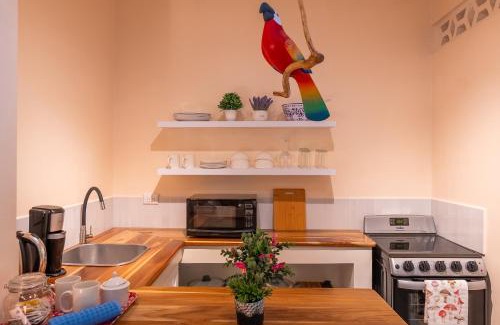 Tamarindo Bed & Breakfast | Casa Mapache