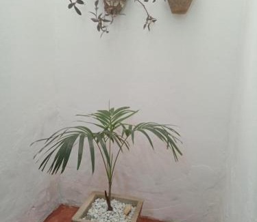 Camocim House | Casa MD