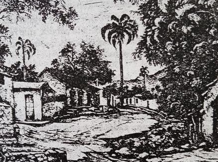 Choroni House | Casa Parima