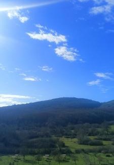 Fiuggi Bed & Breakfast | Casa per Ferie Metamorphosi