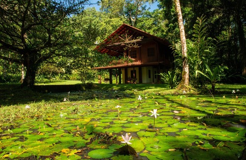 Palma House | Casa Ranas, Osa, Gorgeous Home on Edge of Private 32acres of Forest, Easy Access