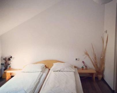 Orsova House | Casa Raul