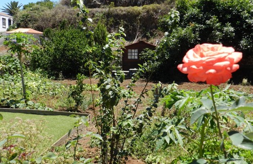 Puntallana House | Casa Rural María Cruz