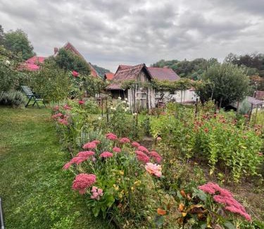 Sighisoara House | Casa Santa