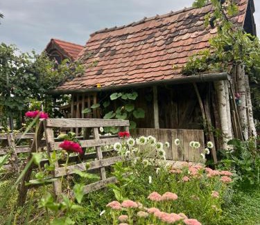 Sighisoara House | Casa Santa
