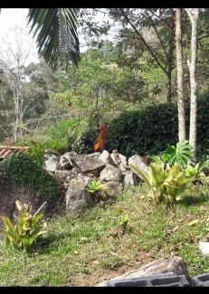 Nova Friburgo House | Casa serra de friburgo