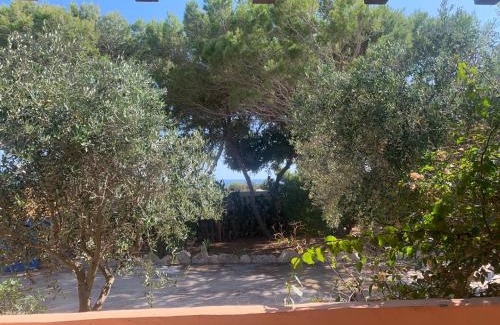 Lampedusa House | Casa Sonia