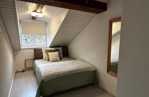 Aarau House | Casa Styner