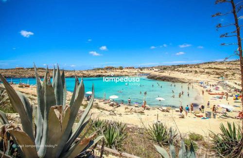 Lampedusa Apartment | Casa Vacanza Delfino Blu
