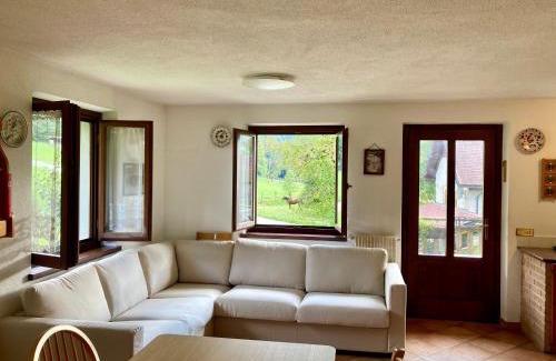 Ravascletto House | Casa vacanze Ravascletto