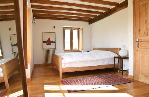 Canedo House | Casa Xabú
