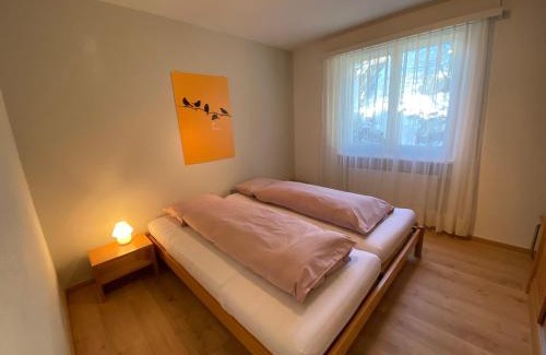 Savognin Apartment | Casa Zundregn - ein Bijou mit privater Terrasse und E-Mobility