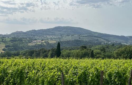 Massa Martana House | Casale Armonia