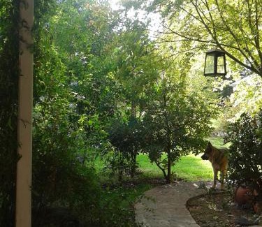 Godoy Cruz Bed & Breakfast | Casco El Trapiche