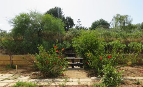 Porto Palo House | Case Barrera