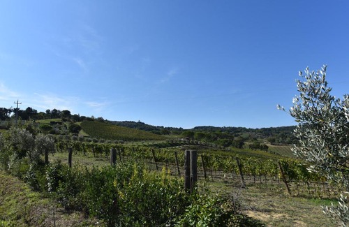 Montescudaio House | CASE&COLLINE Pozzo 2&3