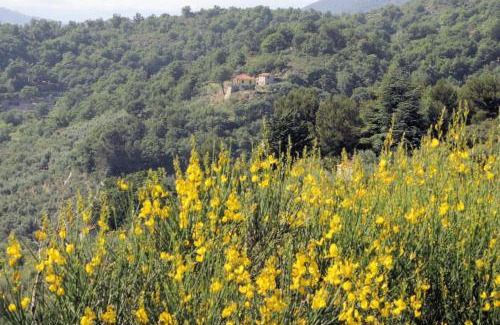 Pontedassio House | Case Natura