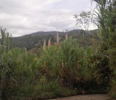 Medellin House | Casita el mirador solo naturaleza