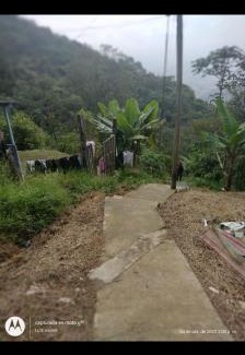 Medellin House | Casita el mirador solo naturaleza